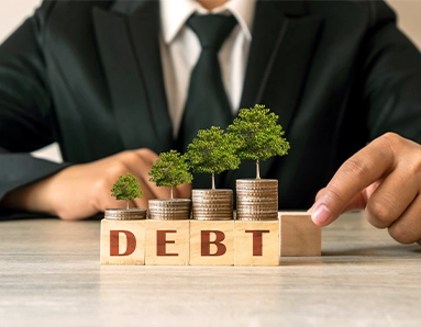 Investing in Debt Funds