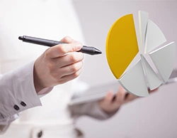 Diversification in Mutual Fund