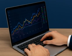 A Beginner's Guide to Investing in the Stock Market