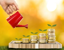 What are Money Market Mutual Fund Schemes?