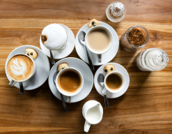 Understanding the Different Categories and Types of Mutual Fund schemes