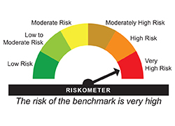 The risk of the benchmark is very high